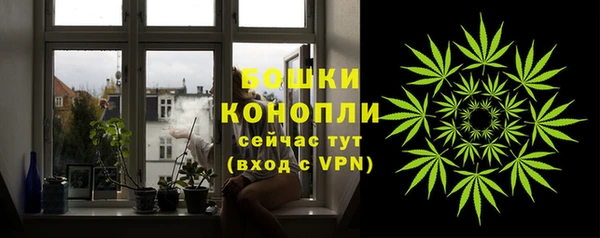 каннабис Белокуриха