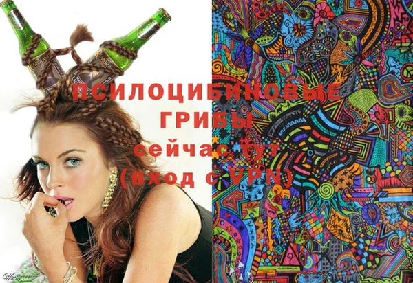 каннабис Белокуриха