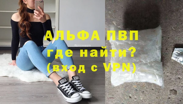 сатива Строитель